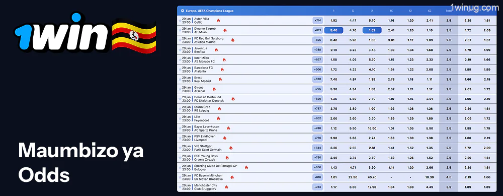 Maumbizo ya nafasi 1win